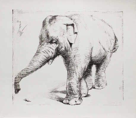 Шендеров Александр Семёнович. Слон